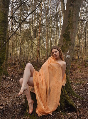 Aria Wednesday #385125