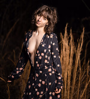 Anony-mousie #352604