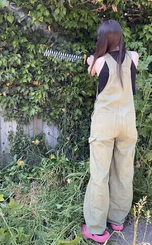 Frankie Lollia #1589903