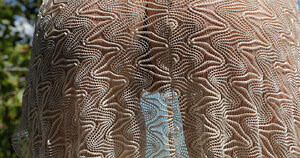 Gianna Nicole #1671885